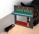 sneaky-cat-cheeseworld.jpg