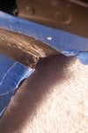 102_4591.JPG