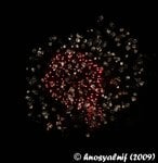 IMG_7138cr.jpg