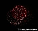 IMG_7139cr.jpg