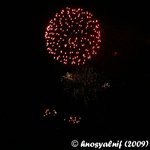 IMG_7140cr.jpg