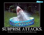 SHARK.jpg
