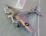 4_Aussie Mossie_5082.JPG