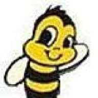 billybee