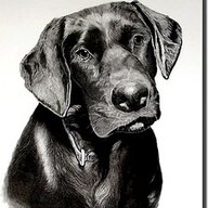 jack_2762