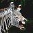 Sexy Zebra