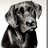 jack_2762