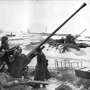 Russian army in Leningrad - 1943