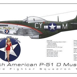 P-51 Miss Marilyn 2