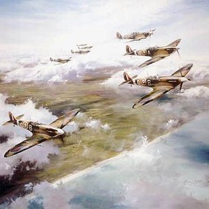 Tangmere wing by Robert Taylor
