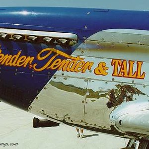 P-51 'Slender, Tender, and Tall'