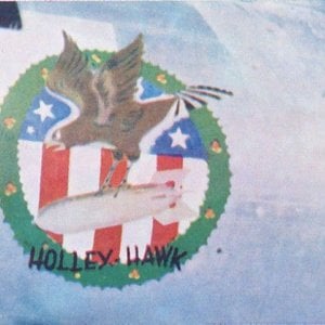 Holley Hawk