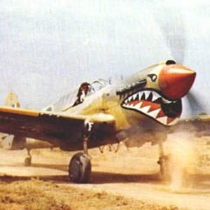 P-40s with the Desert Air Force.