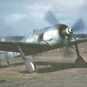 Fw-190 preparing to take off.