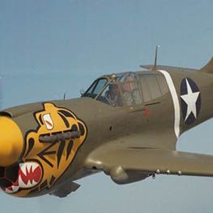 The P-40K
