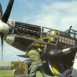 P-51 from Steeple Morden, U.K.