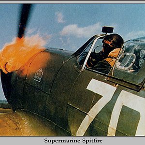 Spitfire during the Battle of Britain, you can see where it gets its name i