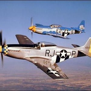 P-51D Mustangs