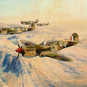 P-40, desert hawks by Robert Taylor