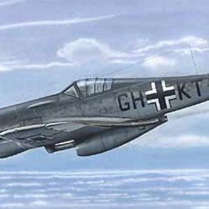 Focke Wulf FW-190 C-0 Hohenjager