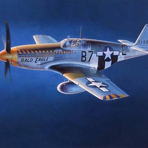 P-51 close up, unknown artist, can anyone help by naming the artist? Large!