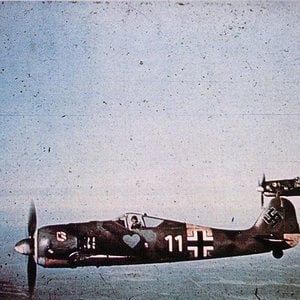 Fw-190s
