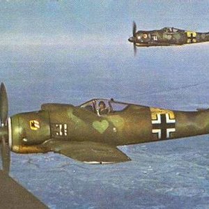 Fw-190s 2