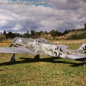 fw-190D