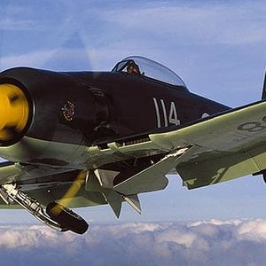 Hawker Sea Fury