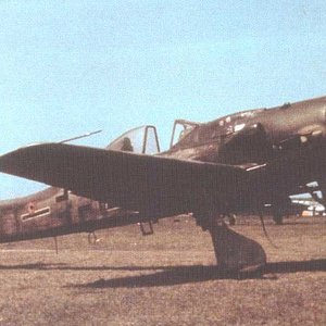 Focke Wulf D-9