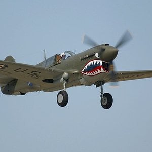 P-40 pulling up wheels