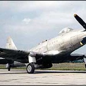 P-75A Eagle