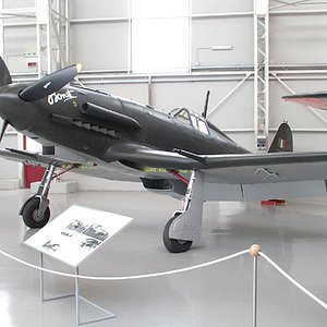 Fiat G.55