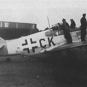 Captured Mustang P-51, inspection