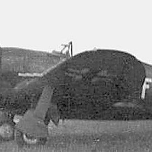 Lufwaffe P-47