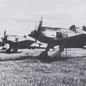 Focke-Wulf Fw 190A-7