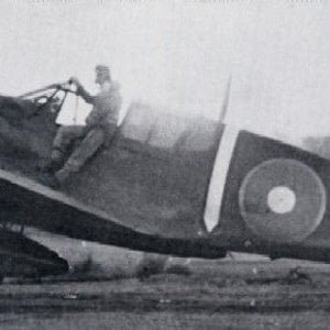 Curtiss Kittyhawk Mk.IV