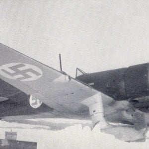 VL (Fokker) D.XXI