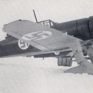 VL (Fokker) D.XXI