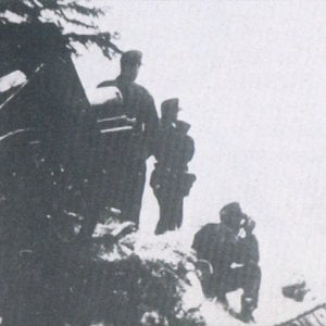 Waffen-SS mountain gunners