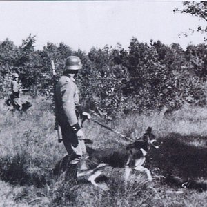 Einsatzgruppen personnel