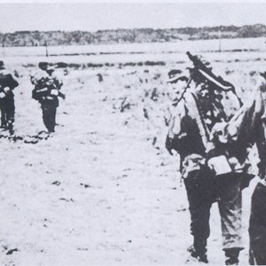Waffen-SS Grenadiers