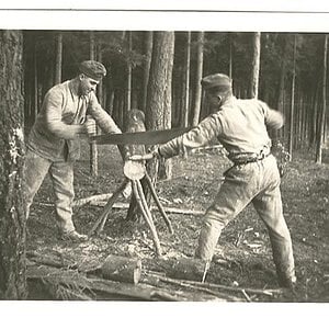 German Pioneers at work