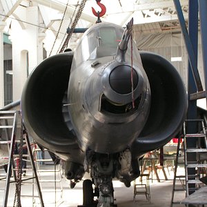 Harrier