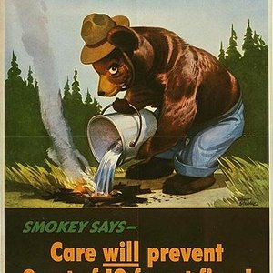 Title: Smokey says - care will prevent 9 of 10 forest fires!