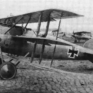 Albatros Triplane