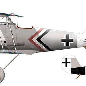 Pfalz D-8