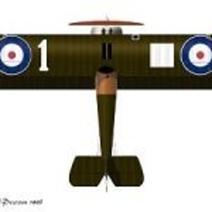Sopwith Camel from above 2