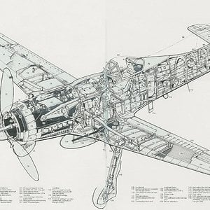 TA152H-1 Cutaway