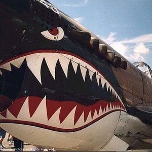 P-40 TigerTeeth 1024 x 768